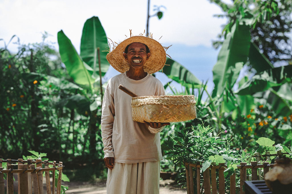 Local farmer harvesting produce at a permaculture farm in Bali.