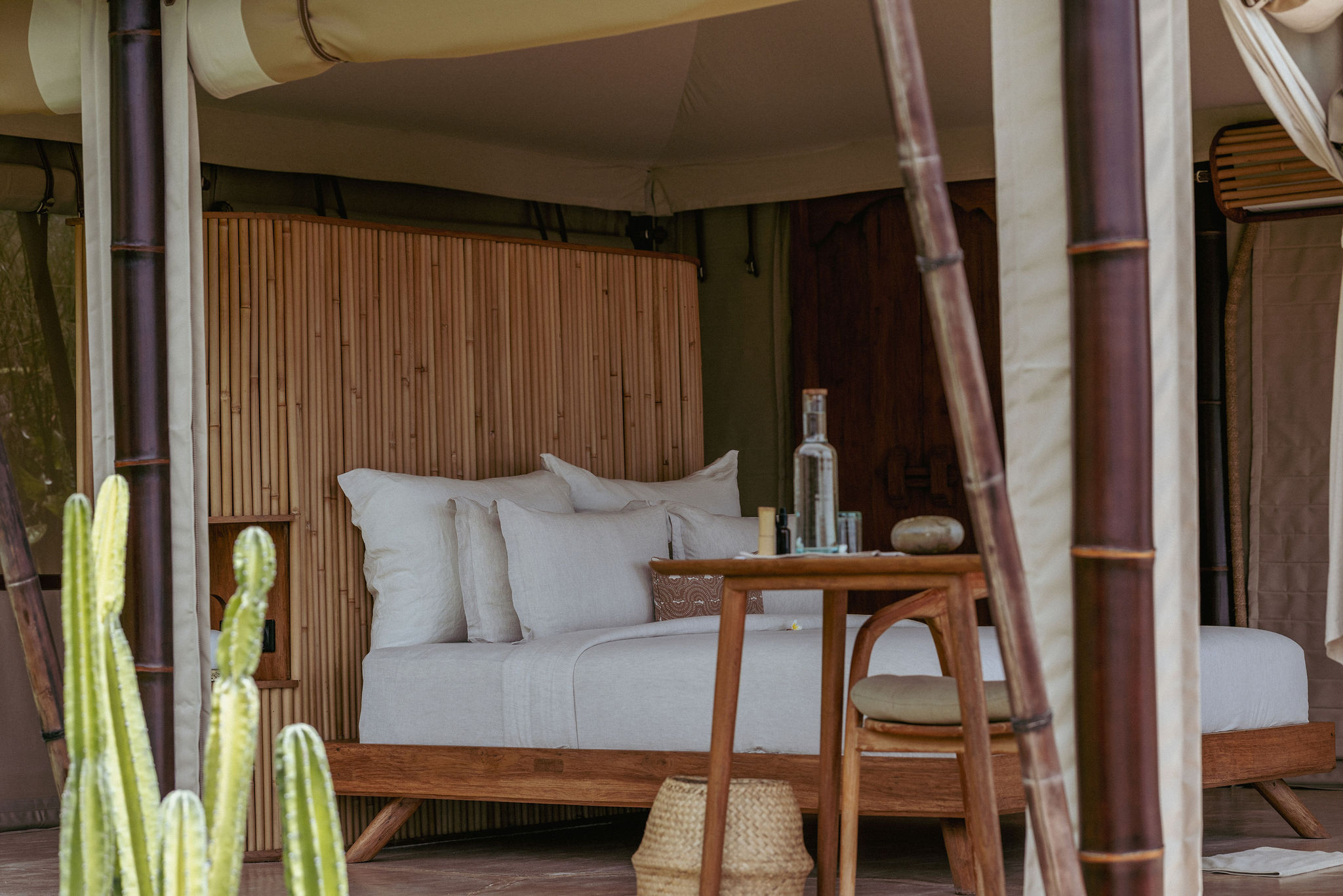 Single Tent Suite Special Price